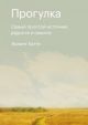 Прогулка. Самый простой источник радости и смысла