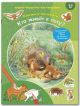 Кто живёт в лесу? Книжка-активити с развивающими заданиями, головоломками, наклейками (мягк.обл.)