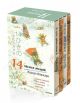 14 лесных мышей. Зимний комплект из 4-х книг