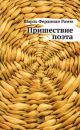 Пришествие поэта (мягк.обл.)