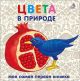 Цвета в природе. Моя самая первая книжка