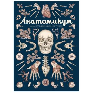 Анатомикум