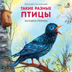 Загадки-рифмы. Такие разные птицы