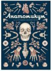 Анатомикум