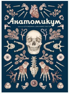 Анатомикум