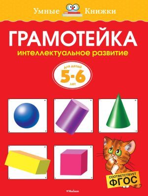 Грамотейка. Интеллектуальное развитие детей 5-6 лет  (мягк.обл.)