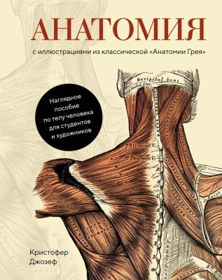 Анатомия (с иллюстрациями из классической "Анатомии Грея")